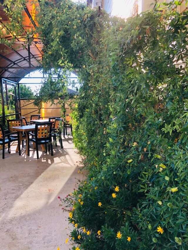 Гостевой дом Guest House Morskaya skazka Пицунда-11